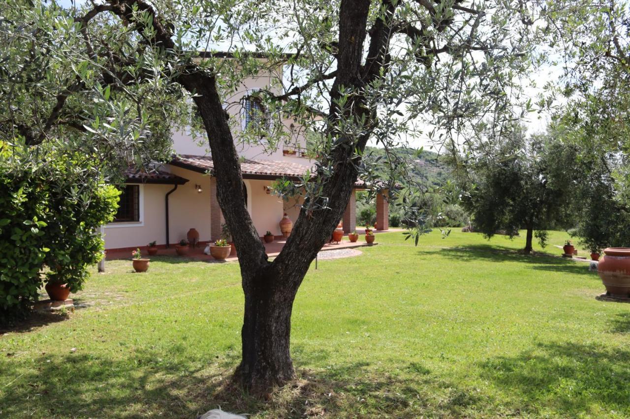 Agriturismo Il Bagolaro Nerola Bagian luar foto