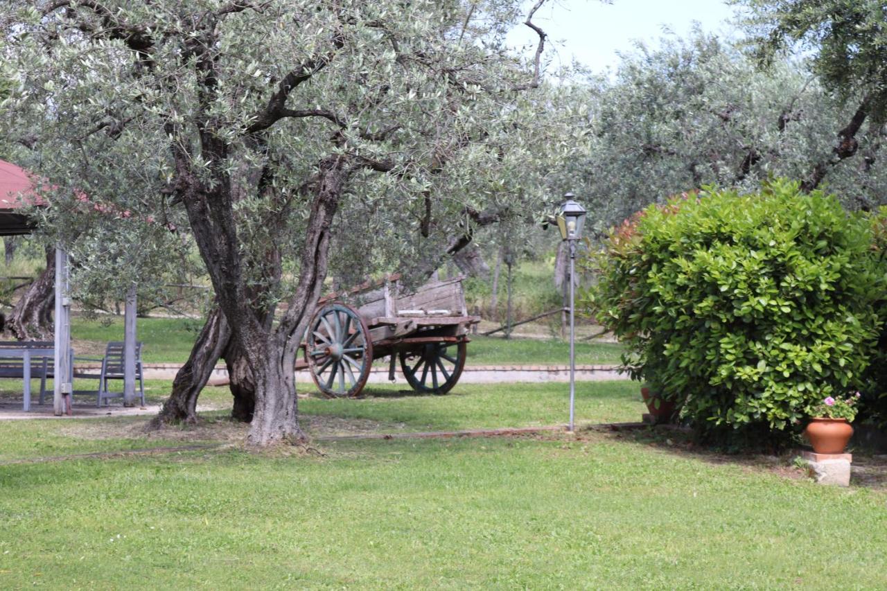Agriturismo Il Bagolaro Nerola Bagian luar foto