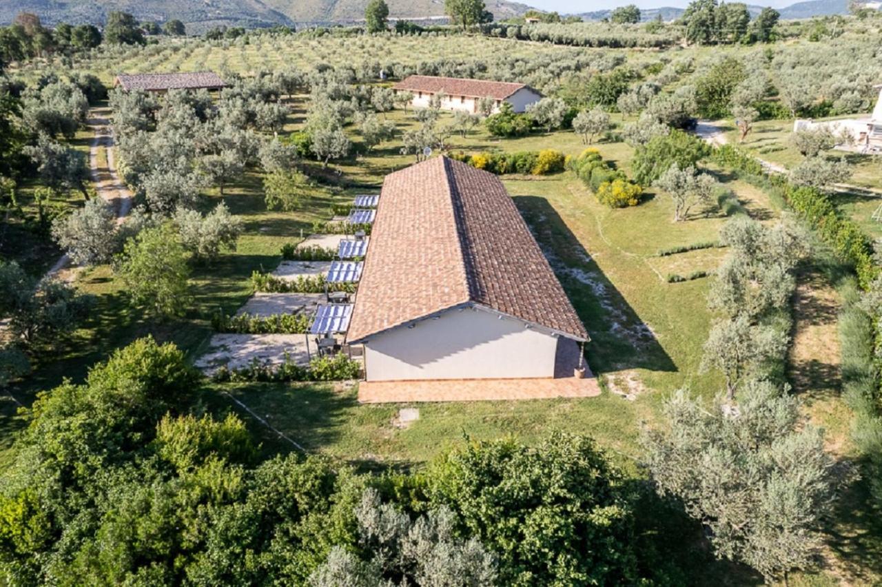 Agriturismo Il Bagolaro Villa Nerola Bagian luar foto