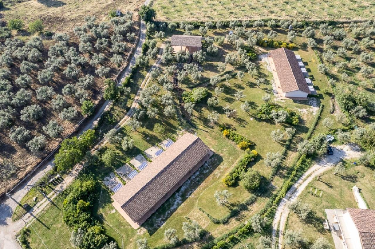 Agriturismo Il Bagolaro Nerola Bagian luar foto